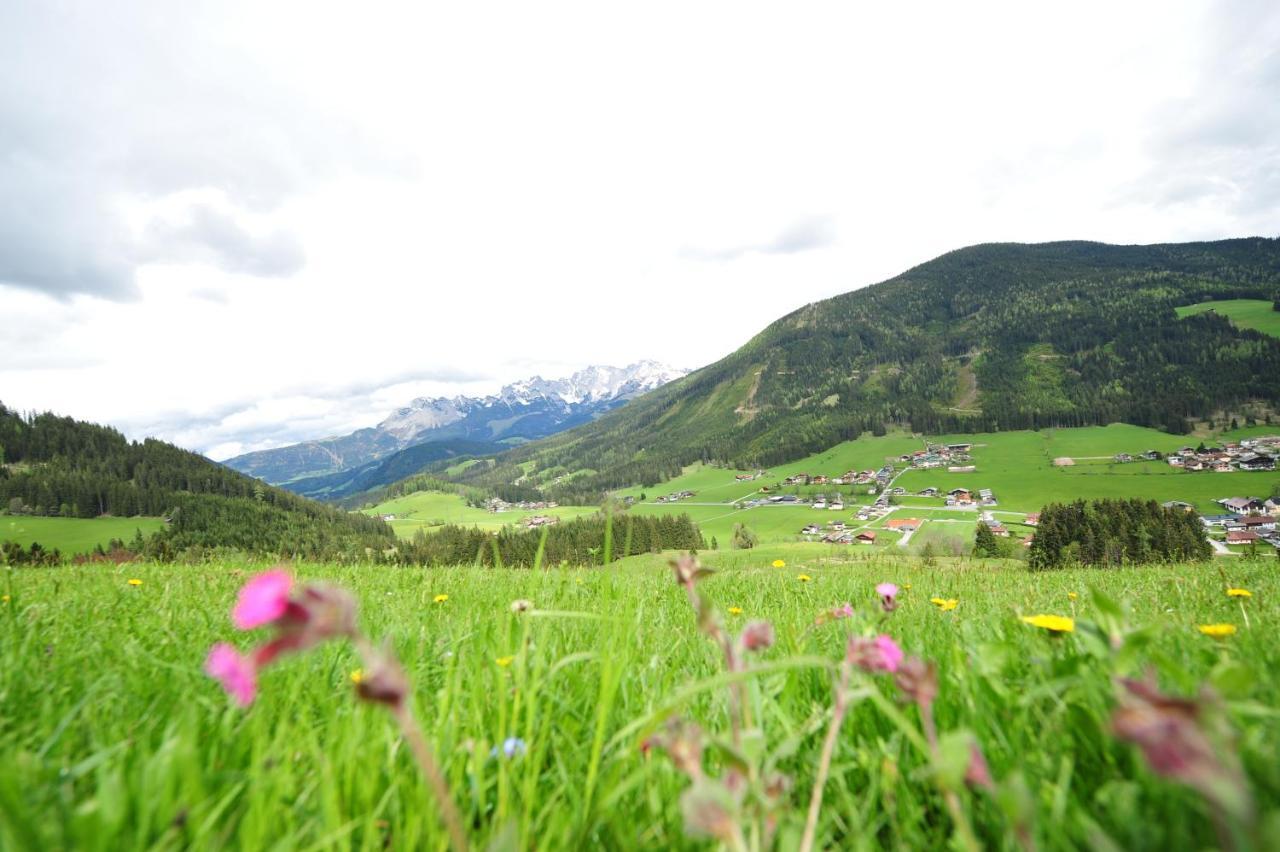 Bed and Breakfast Buttermilchalm Sankt Martin am Tennengebirge Esterno foto