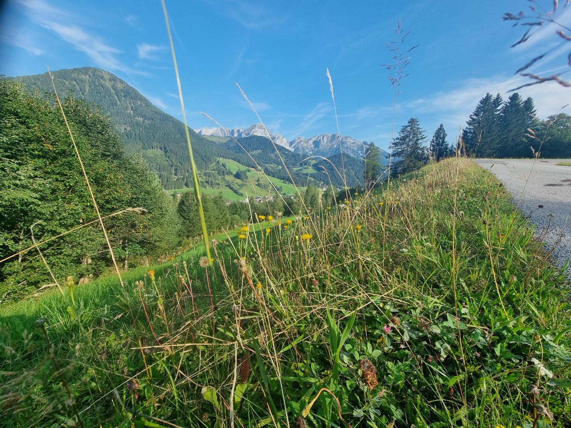 Bed and Breakfast Buttermilchalm Sankt Martin am Tennengebirge Esterno foto