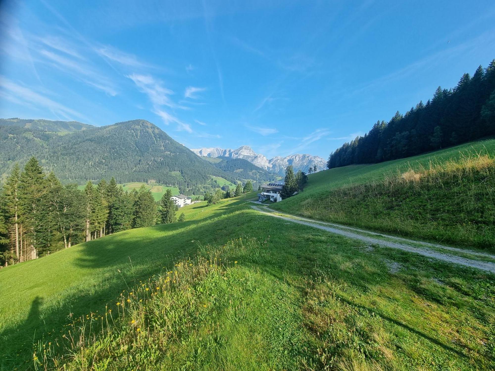 Bed and Breakfast Buttermilchalm Sankt Martin am Tennengebirge Esterno foto